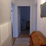 Mi Casa Es Su Casa Zurich
